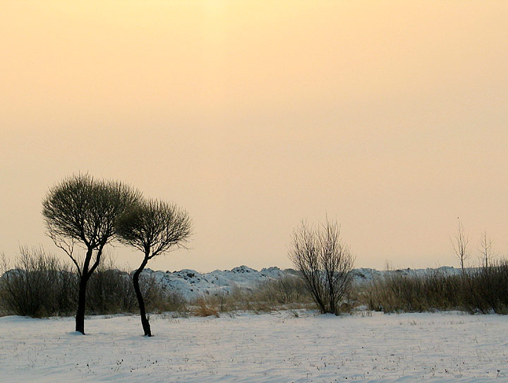 photo "Tenderness." tags: landscape, sunset, winter