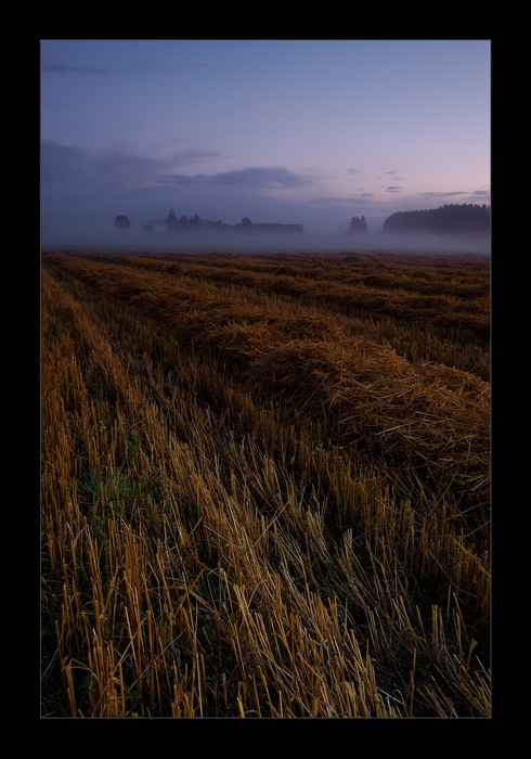 photo "after harvests" tags: landscape, autumn, sunset