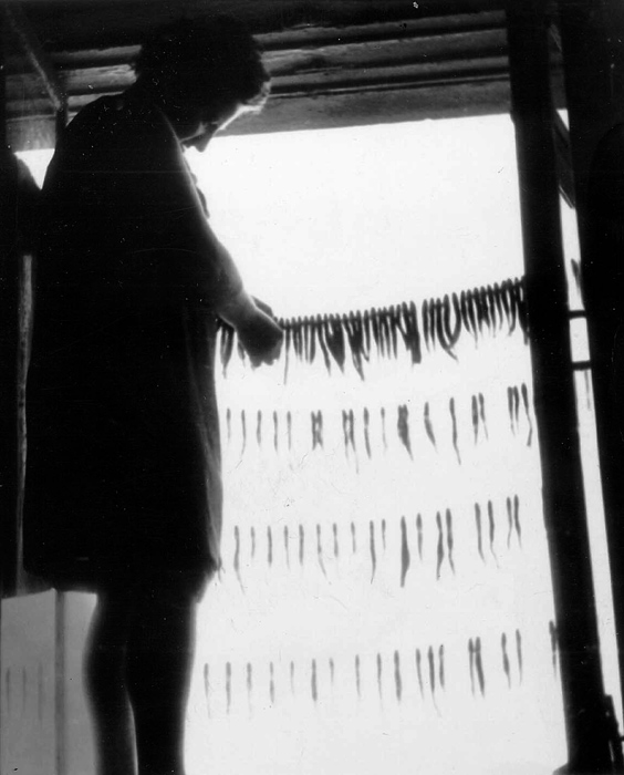 photo "Untitled photo" tags: genre, black&white, 