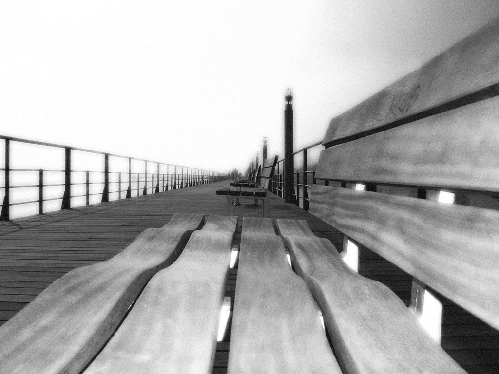 photo "B/W" tags: black&white, 