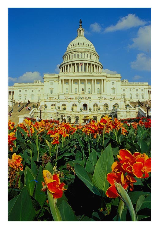 photo "U.S Capitol hill" tags: travel, architecture, landscape, North America