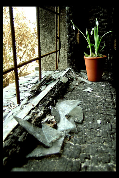 фото "somebody was living here" метки: натюрморт, жанр, 