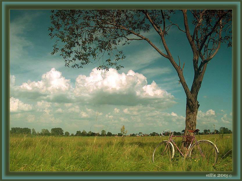 photo "From life of a bicycle" tags: landscape, summer