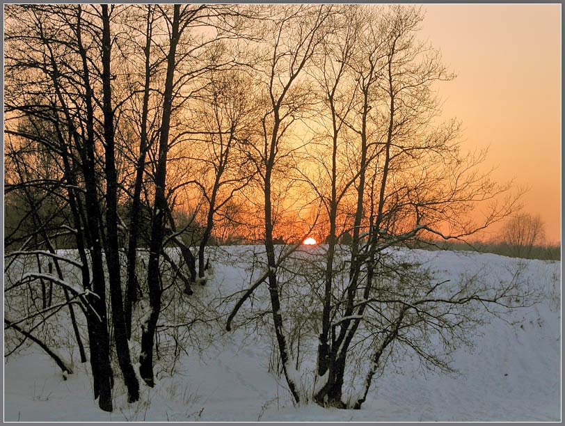 фото "О вечном" метки: пейзаж, зима, лес