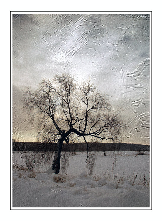 photo "Picture # 300" tags: misc., landscape, winter