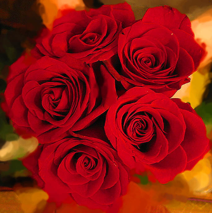 photo "Roses" tags: nature, macro and close-up, flowers