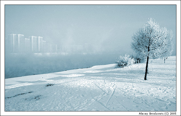 photo "Another frosty morning" tags: landscape, black&white, winter