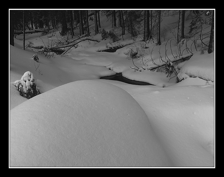 photo "* * * * *" tags: landscape, nature, winter