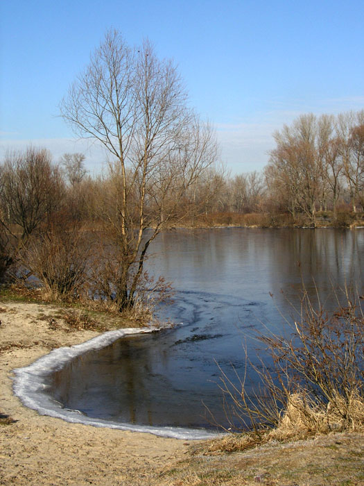 фото "Весна ....???" метки: пейзаж, весна, вода