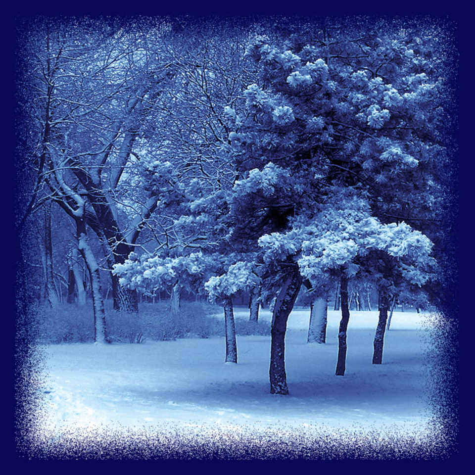 фото "sneg" метки: пейзаж, зима, лес