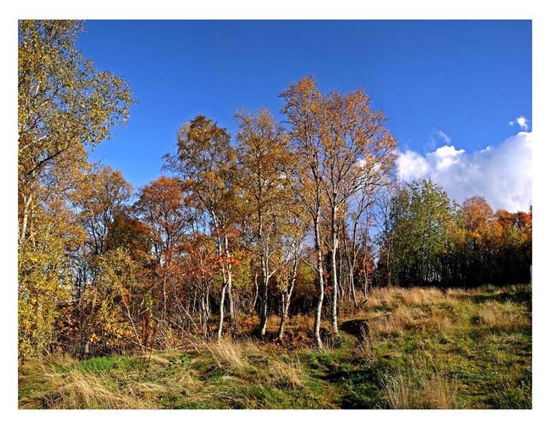 фото "Fall" метки: пейзаж, осень