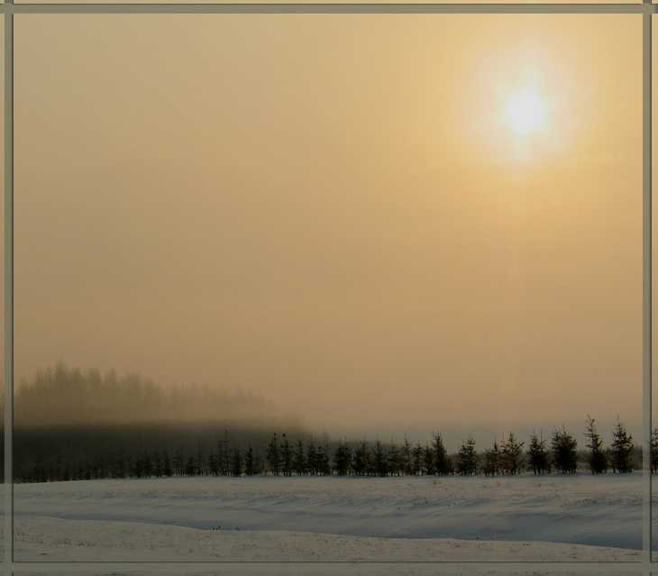 photo "February#1." tags: landscape, sunset, winter