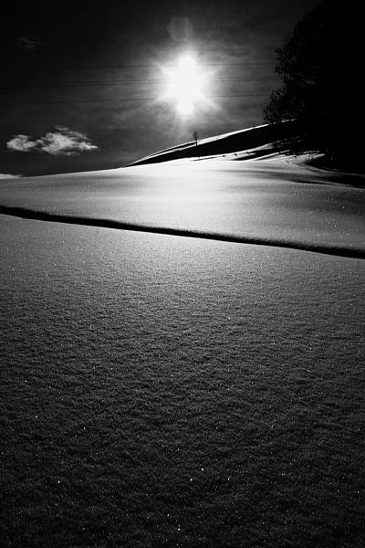 photo "winterday" tags: black&white, landscape, winter