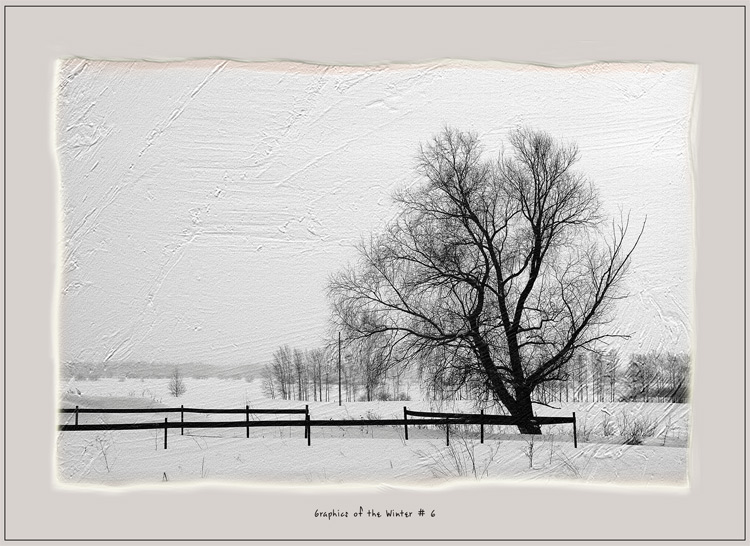 photo "Graphics of the Winter # 6" tags: landscape, black&white, winter