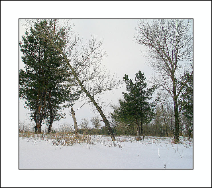 photo "last stroke of winter..." tags: landscape, nature, winter