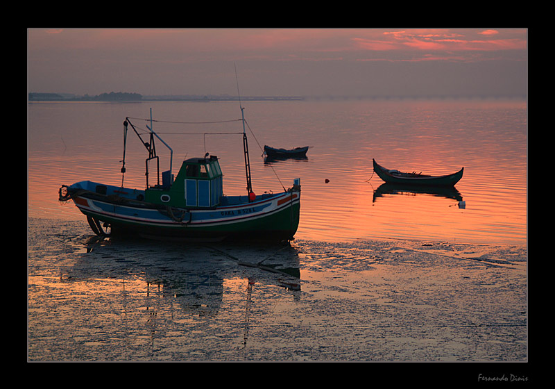 photo "Dreaming" tags: landscape, genre, water