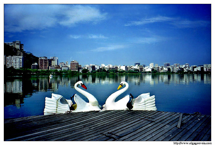 фото "Swan Lake" метки: пейзаж, архитектура, вода