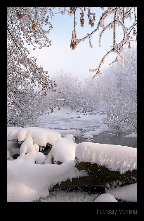 photo "February morning" tags: landscape, water, winter