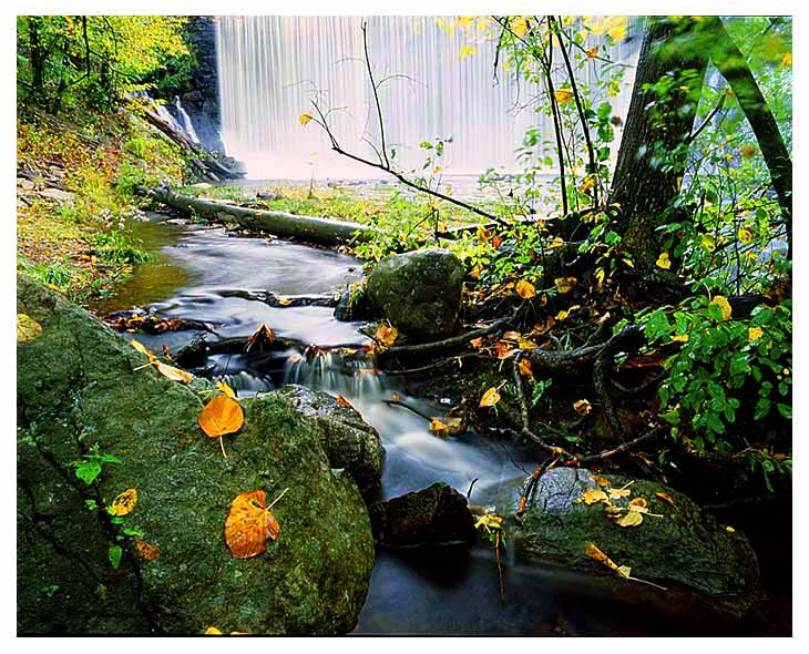 фото "fall" метки: пейзаж, вода, осень