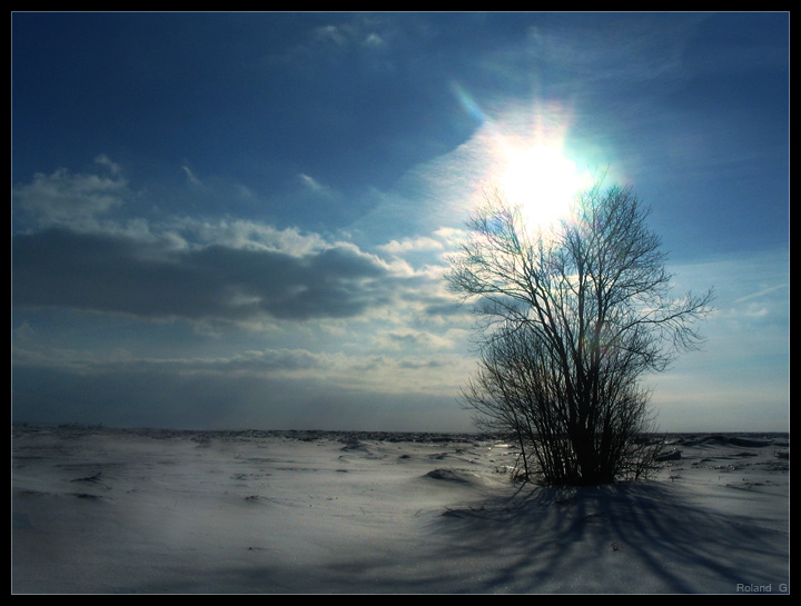 photo "Fatigue" tags: landscape, winter