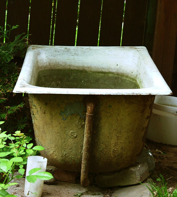 фото "Bath" метки: жанр, 