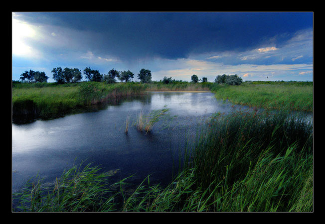 photo "ххх" tags: nature, 