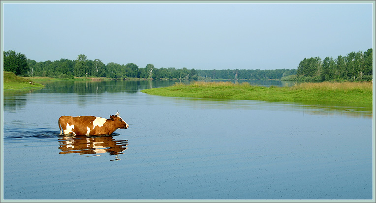 photo "The Morning in the Russia :)" tags: landscape, water