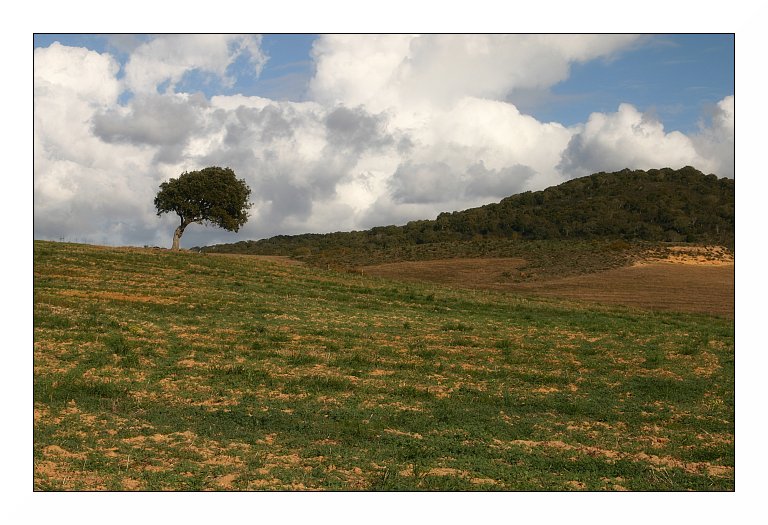 photo "Alentejo landscape" tags: travel, landscape, Europe