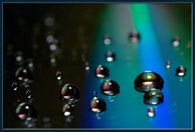 photo "drops (1)" tags: macro and close-up, 