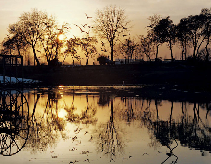 photo "Lake in the deserted park" tags: landscape, sunset, water