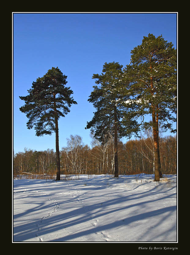 фото "Солнце-на лето, зима- на мороз" метки: пейзаж, зима, лес