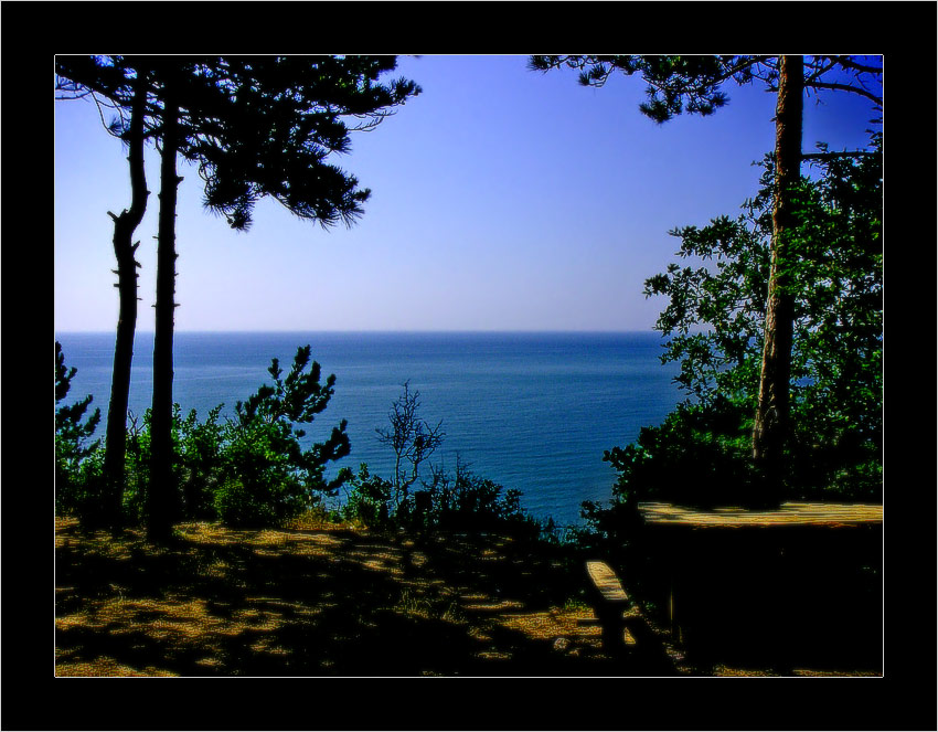 photo "***" tags: landscape, forest, summer