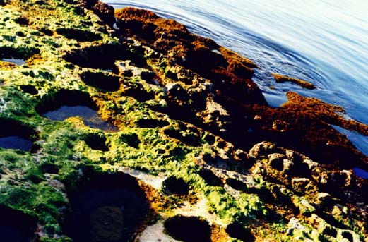 photo "Rock Pools" tags: landscape, water
