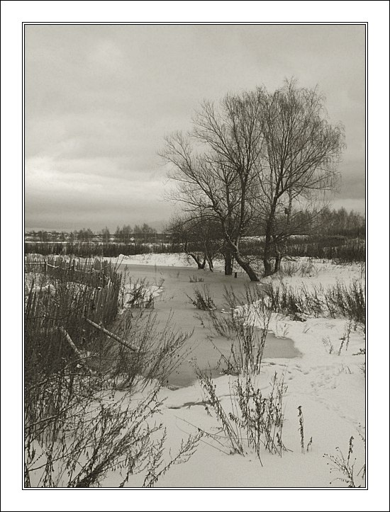 photo "Thaw" tags: landscape, winter