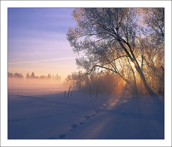 photo "Morning laces ....." tags: landscape, sunset, winter