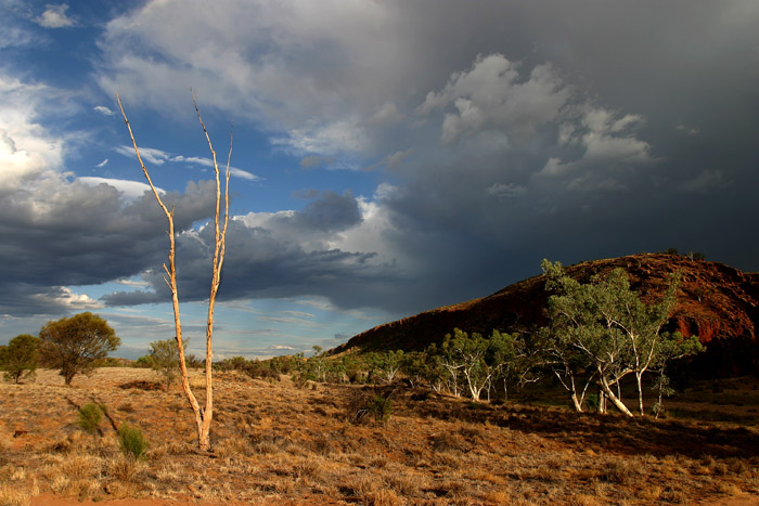 photo "Australia" tags: travel, Australia