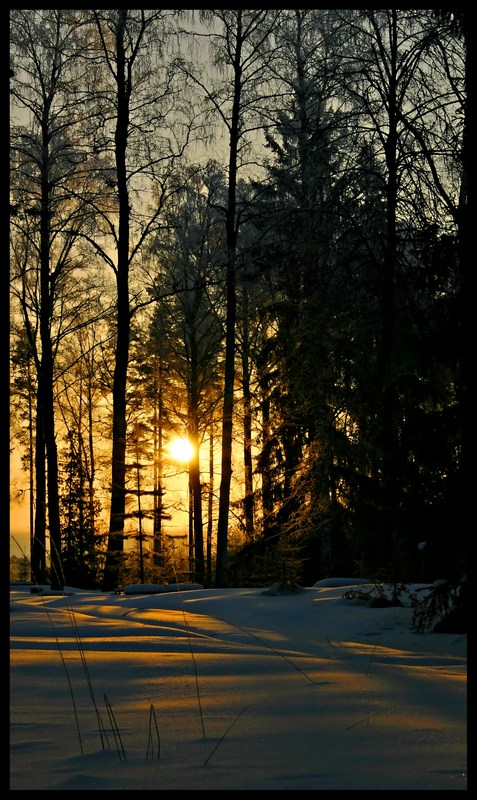 photo "Morning mood..." tags: landscape, winter