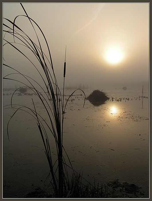 photo "Morning on lake." tags: landscape, sunset, water