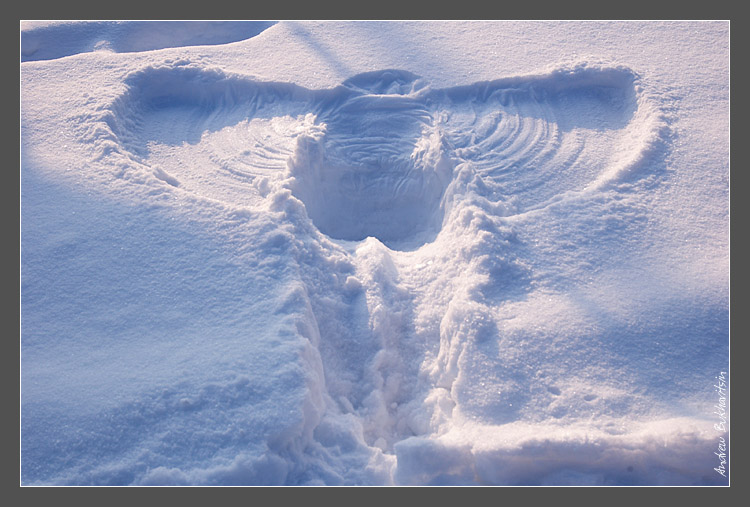 фото "Angels wings" метки: пейзаж, абстракция, зима
