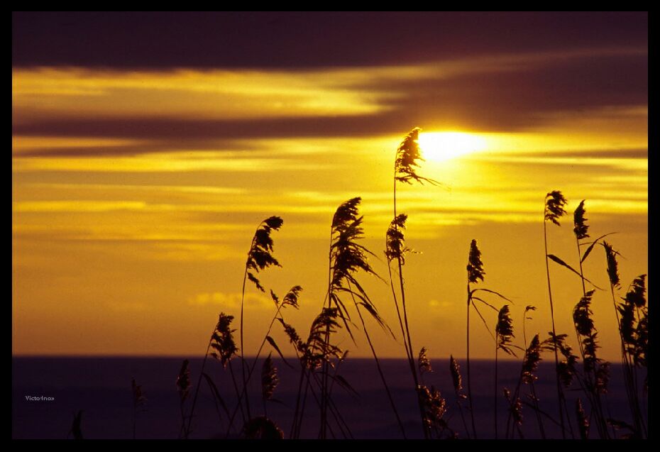 photo "The evening of winter" tags: landscape, sunset