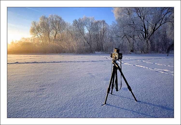 photo "Photo of the friend" tags: landscape, sunset, winter