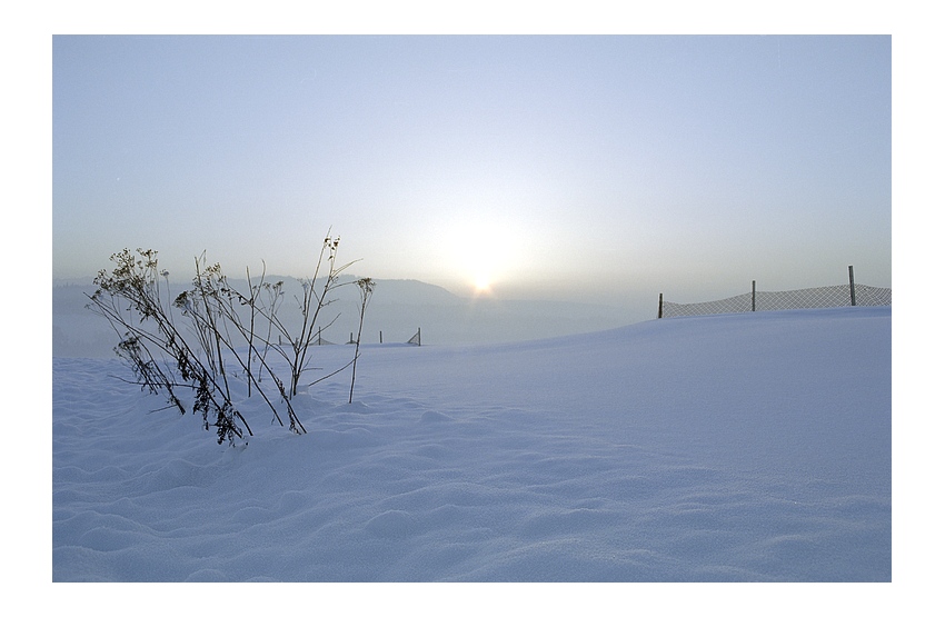 фото "silent" метки: разное, пейзаж, зима