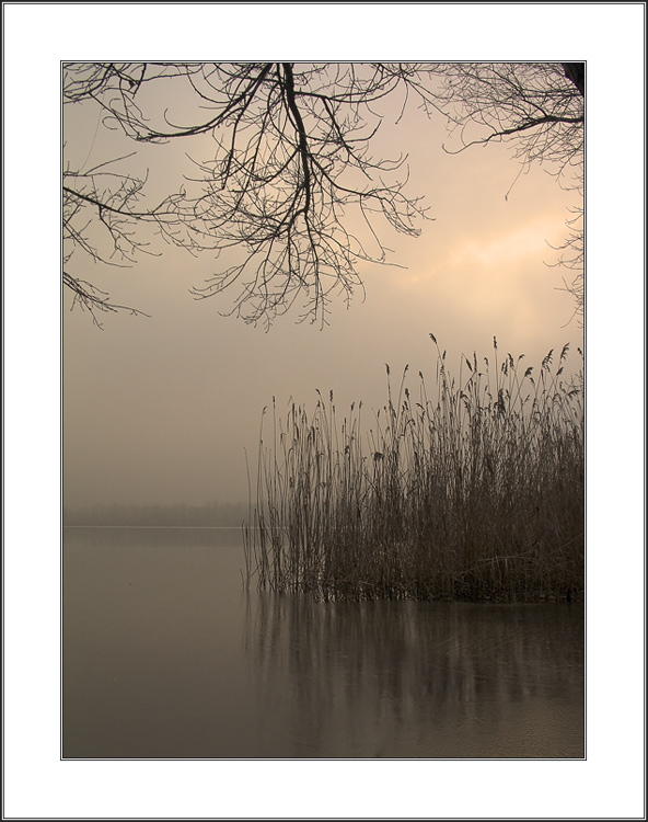 photo "the cane does not bend, the river does not rustle." tags: landscape, nature, water