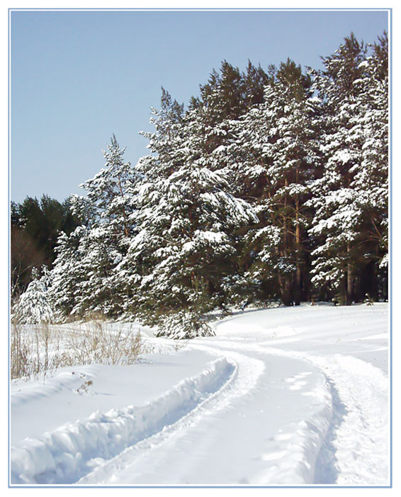 фото "Январь. Зимняя дорога." метки: пейзаж, природа, зима