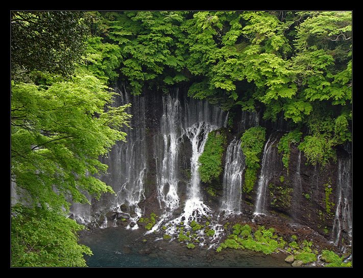 photo "waterfall" tags: landscape, forest, water