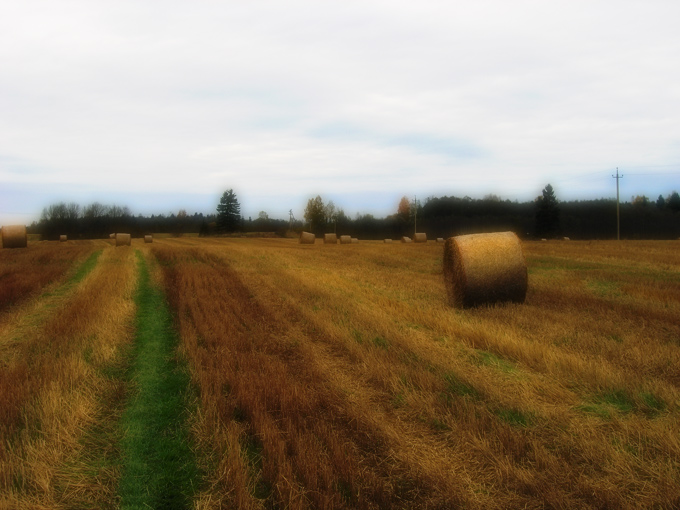 photo "landscape with haystack" tags: landscape, autumn