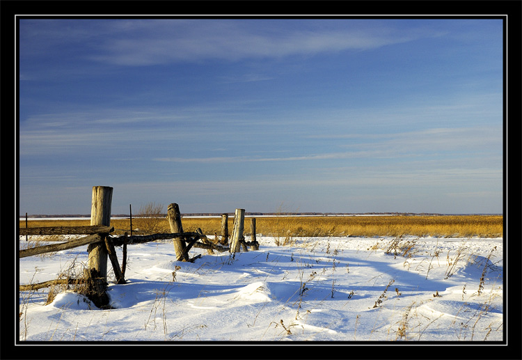 photo "Adieu, February" tags: misc., landscape, winter