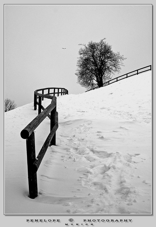 фото "Long cold winter" метки: пейзаж, зима