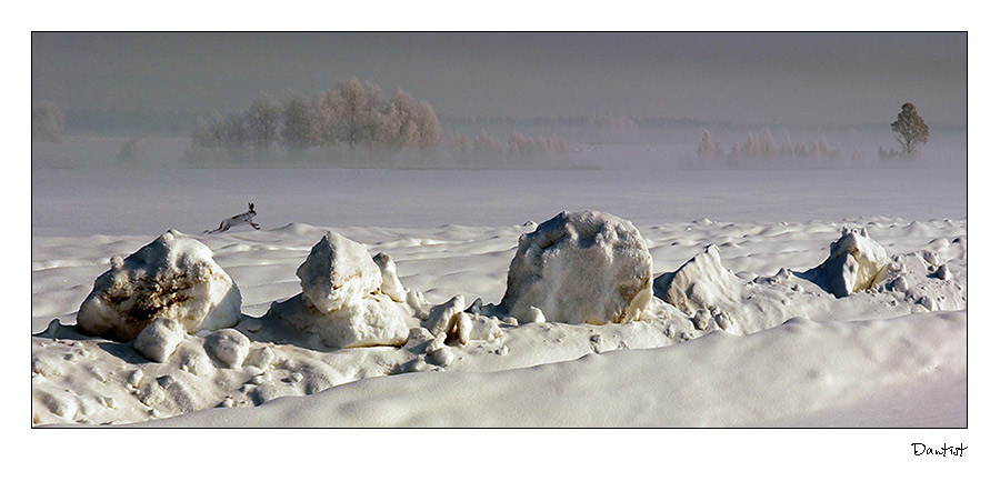 photo "Travelling companion" tags: landscape, winter