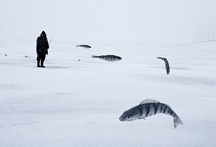 фото "Fishy stories" метки: фотомонтаж, абстракция, 